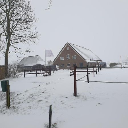 Landelijk Gelegen Boerderij Aan De Pothofweg Anevelde Exterior foto